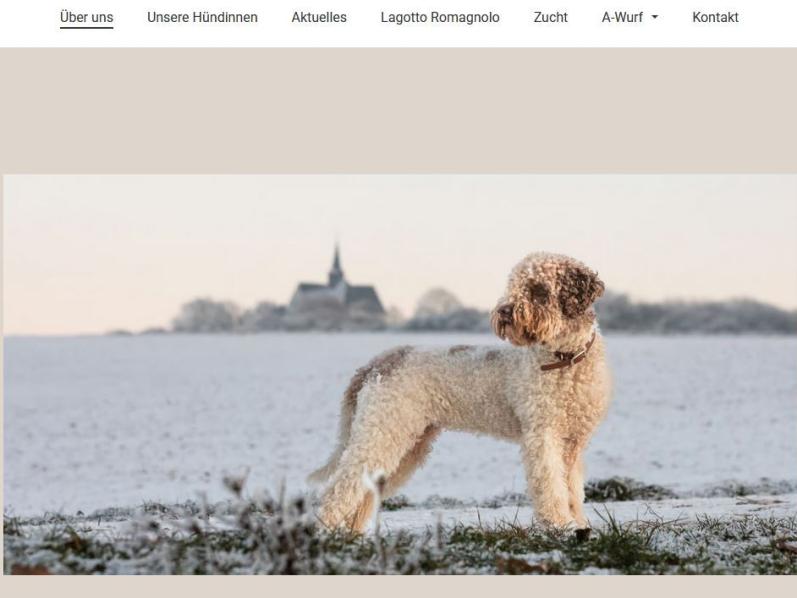 Lagotti del bosco santo